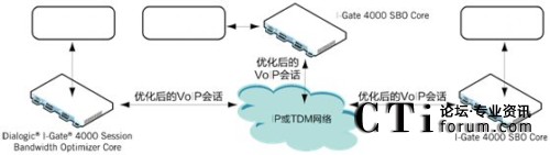 企業(yè) VoIP 會(huì)話優(yōu)化